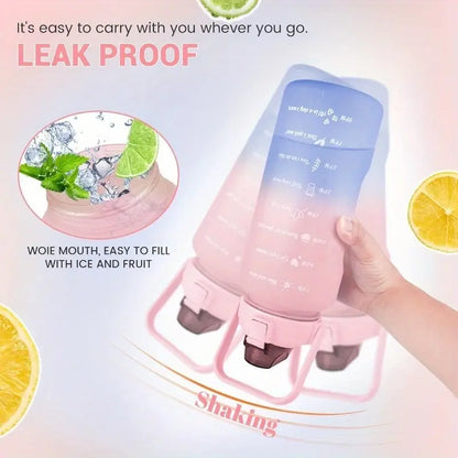 Pack of 3 Leak-Proof Sports Bottles