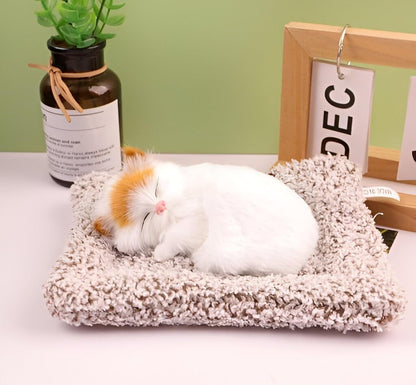 Cute Sleeping Cat Toy | For Car Dashboard & Home Living